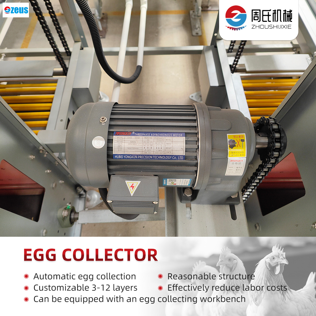 Wie automatische Gefl&uuml;gelk&auml;fige die Gesundheit und Produktivit&auml;t von V&ouml;geln verbessern