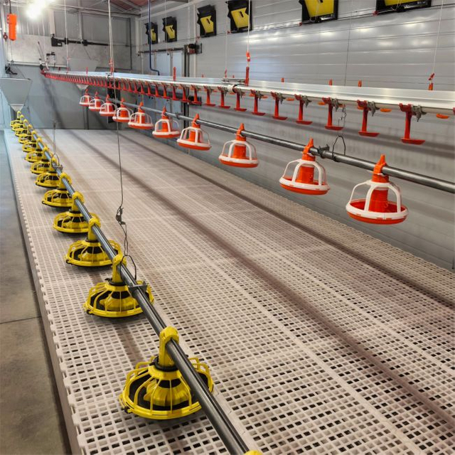 Broilerk&auml;figausr&uuml;stung