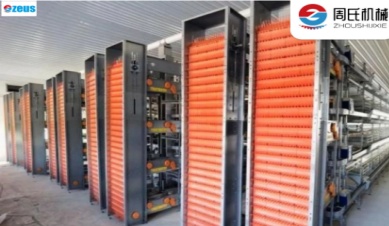 가금류 농장에서 자동 계란 수집 시스템의 인기 증가