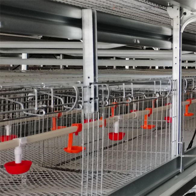 Vereinfachtes Farmmanagement mit fortschrittlichen automatischen Gefl&uuml;gelk&auml;figen