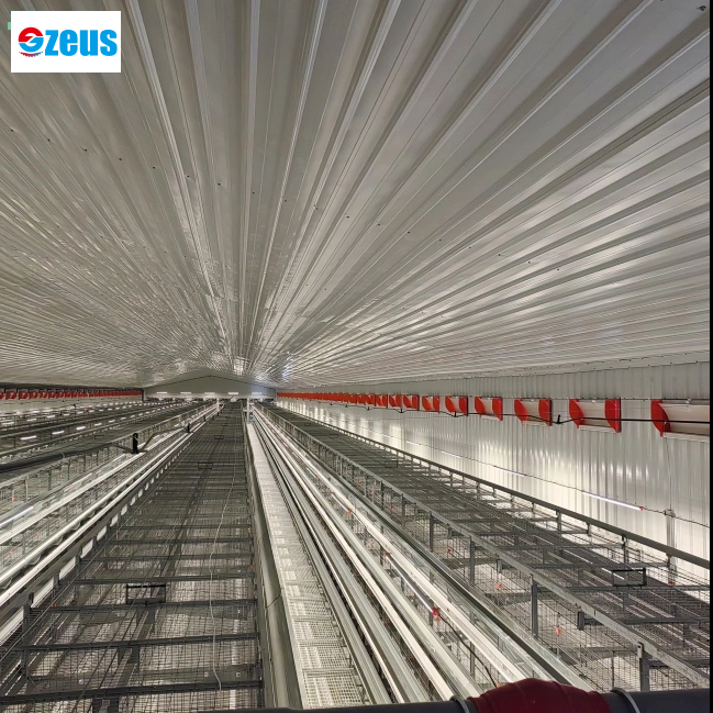 Гибкость в сельском хозяйстве: преимущества индивидуальных кур и клеток-несушек