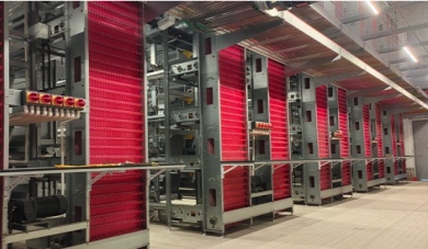 병아리 건강 및 생존 극대화: 육추 케이지 장비의 역할