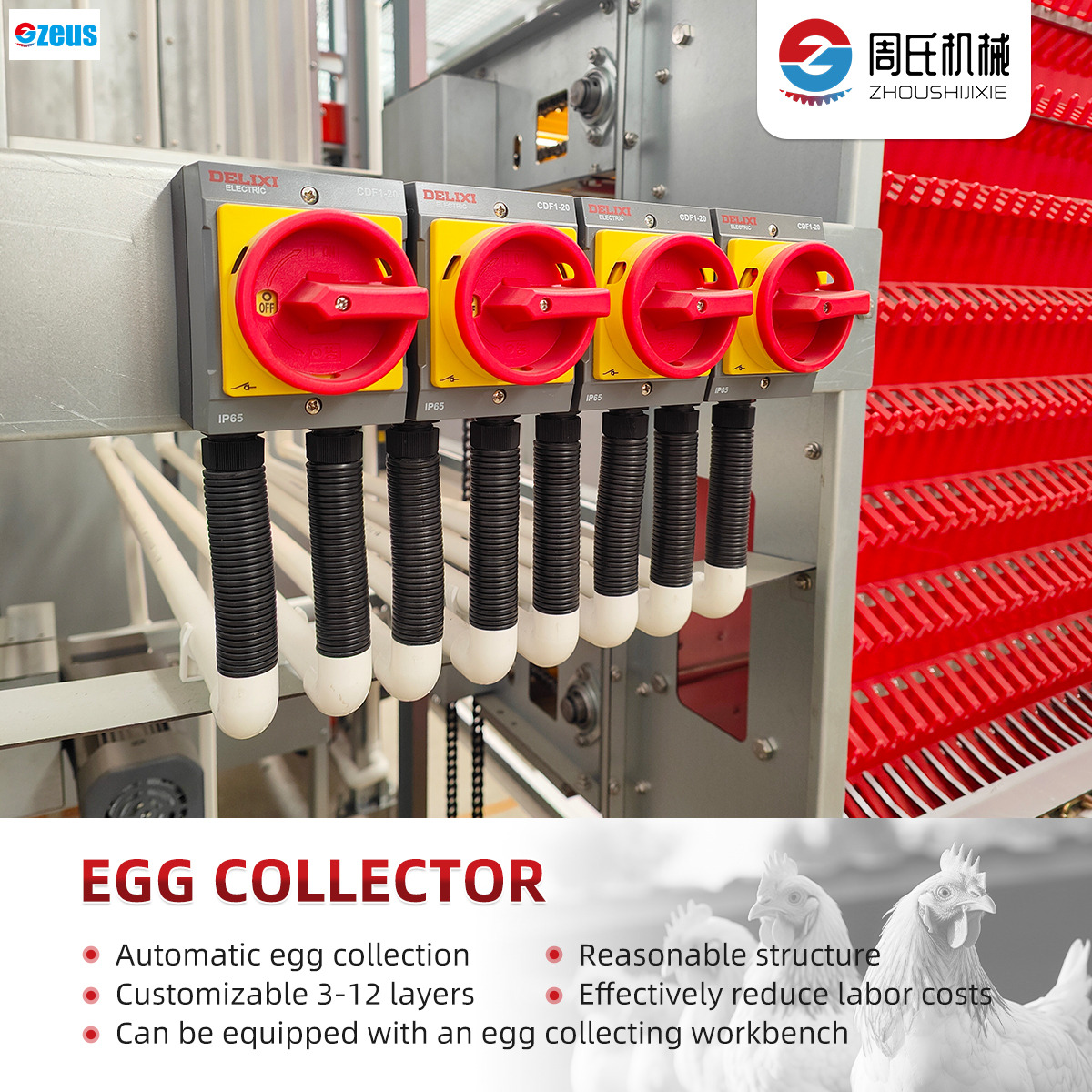 자동 가금류 케이지를 통한 비용 절감 및 생산량 증가