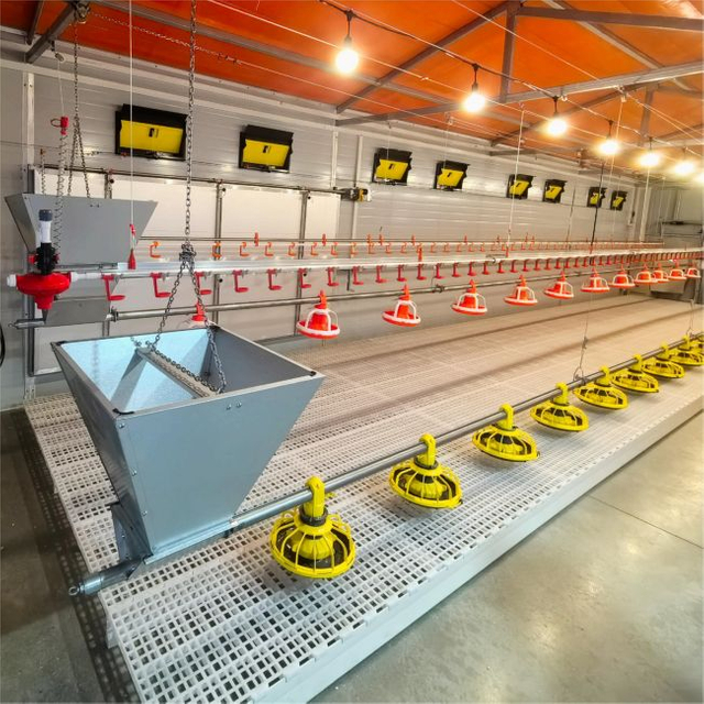 Ausr&uuml;stung f&uuml;r Masth&auml;hnchen-Grundzuchtsysteme