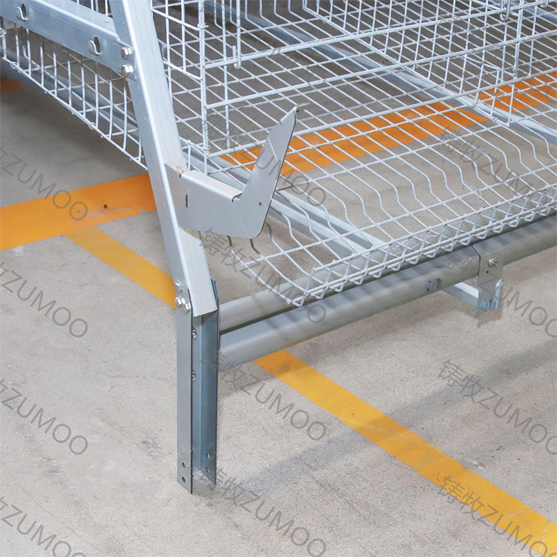 Solusi Khusus untuk Peternakan Anda: Kandang Poulay dan Kandang Petelur yang Disesuaikan