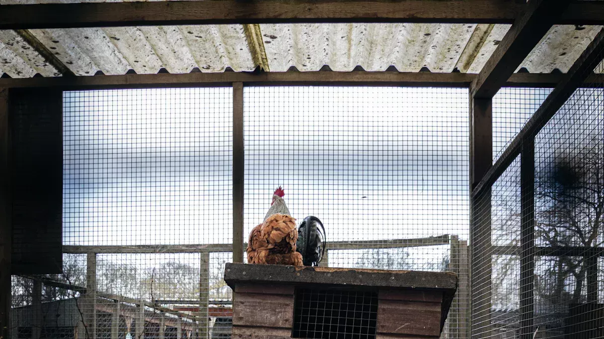 닭장을 사는 것이 낫습니까, 아니면 짓는 것이 낫습니까?