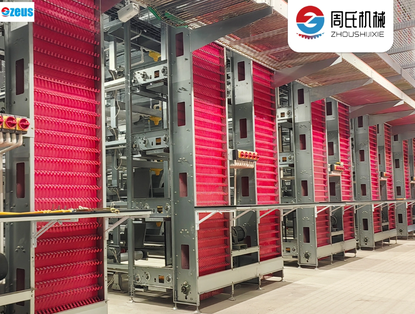 Bisnis Unggas Ayam yang Menguntungkan di Filipina: Desain Kandang Modern & ROI